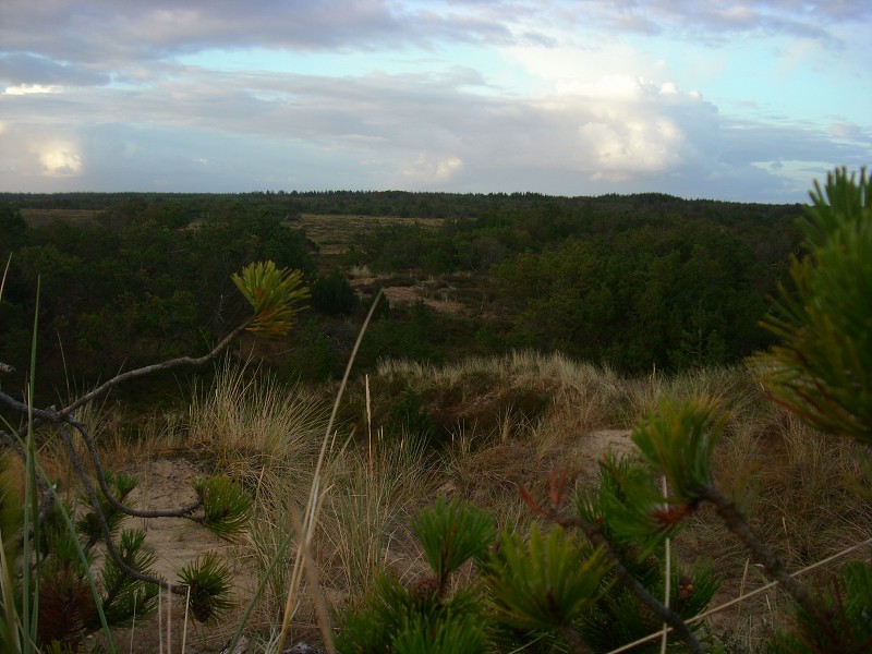 Demian: Lucians Melody