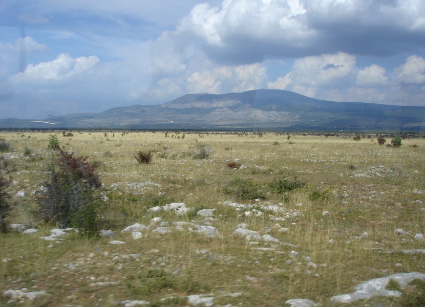 Demian: Lucians Melody