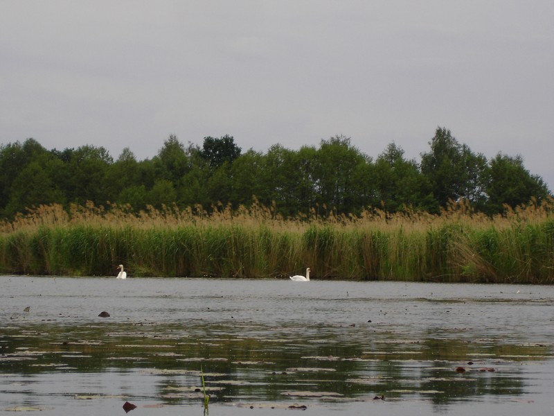 Demian: Lucians Melody