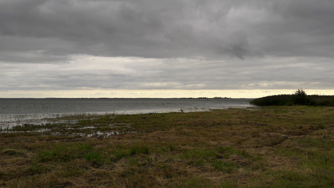 Demian: Lucians Melody